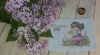 20220605_073121.thumb.jpg.cccea59efe4d54dfc7b6e4b9bbeb6333.jpg