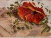 20220609_233424.thumb.jpg.b086b666f100faeb1f4c593f3da7c2d1.jpg