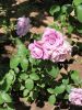 20220612_115134.thumb.jpg.fffcd7fd2e94029b74e5e9097299d76f.jpg