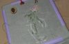 20220618_222614.thumb.jpg.827f1071c2ec5366527ea33e8d10f063.jpg