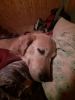 20220619_003028.thumb.jpg.0f497dc1ac3813094648ad6f5d5c75be.jpg