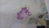 20220621_205337.thumb.jpg.2db3d15f90d8627e59c98c4884ca08b9.jpg