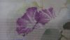 20220625_212419.thumb.jpg.20d3ff759c4c36b0543e0dae147c2189.jpg