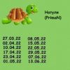 271529854_6.thumb.jpeg.db68e9b972a4b8e3adf94ca8b9bd066c.jpeg