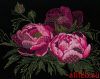 54055.thumb.jpg.6b9a1c74c5c1b1fbd65f3dd2654e2f56.jpg