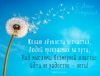 617129733_----008.thumb.jpg.6c64f751b72f070f3f52cba558bb49fd.jpg