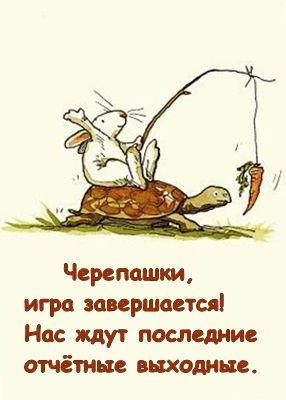 7b0e0e4e808d307905739ca12f2916aa.jpeg.4c9f37e163642496e7a5864f00cd73d7.jpeg