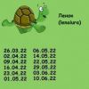 945277117_9.thumb.jpeg.701de990e039daeb42aa61bb8823f441.jpeg