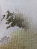 9w947wTqgjw.thumb.jpg.e5e4a84bc1314b1c1d667c96e609a45b.jpg