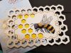 A54B6080-9257-4E6A-B9FE-DF218F282DFE.thumb.jpeg.2c65f7af5f43ae2f42fd6cf6d5b5a8f4.jpeg