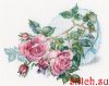 B7094110-C970-44DA-B247-C49B2AFCDB01.thumb.jpeg.0b4b9c1d213d41101c26a53b34b231b9.jpeg