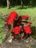 BE9AC5D0-9420-472F-B572-B35BDD051F2C.thumb.jpeg.d97ad08133e4476e13b8e71371fc5fce.jpeg