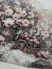 DB583990-DB8B-4612-AB77-5D74112A97CA.thumb.jpeg.96bf84cdae9ddfc94d25d6ede2dc5b9e.jpeg
