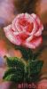 DBC9B59F-7CBC-4612-9C44-D8FA25B1E222.thumb.jpeg.87d077b8c2ec80ffdab424e2b1a20e1a.jpeg