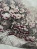 DCE5C120-9532-494B-84DB-3B442B9C0290.thumb.jpeg.7823e8ac4a83c67c8eca456954355f23.jpeg