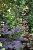 DSC_1981.thumb.JPG.f8b7d93ea159f5649d86b082310f2d18.JPG