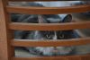 DSC_1997.thumb.JPG.0524f2a6e24fee6c582b587513bcb0d4.JPG