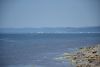 DSC_8033.thumb.JPG.7080768158f43994dc9b096e54f746c2.JPG