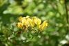 DSC_8066.thumb.JPG.bd3e3fb171353585047ffee371bfb3f3.JPG