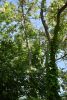 DSC_8072.thumb.JPG.b7ad40dfbd4d02608bd403a059f4cd71.JPG