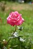 DSC_8083.thumb.JPG.86d0b36efdb9a752947ca4f63db44e6f.JPG