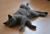 DSC_8103.thumb.JPG.da73dde03329f46449564f3a13b8aca7.JPG