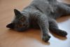DSC_8105.thumb.JPG.42afecd30a4f9a39fe9e036fd5718b64.JPG