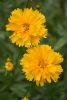DSC_8133.thumb.JPG.2116fa552f420fd90f40ca0c014994a7.JPG