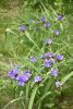 DSC_8136.thumb.JPG.0ed3b4f71220ca06aed3103ff5c7e16d.JPG