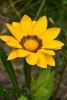 DSC_8138.thumb.JPG.ec14776804e58681f96c37478126e7ee.JPG