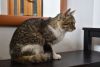 DSC_8224.thumb.JPG.ec55516a884607f106ece868d625a9f2.JPG