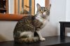 DSC_8226.thumb.JPG.bc47b074995b43f0dae598082ed21bdc.JPG