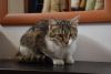 DSC_8228.thumb.JPG.5f1f2334595705d924552998016166cf.JPG