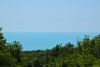 DSC_8288.thumb.JPG.b8464997636685104ee337bb10ec15bf.JPG