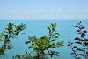 DSC_8292.thumb.JPG.78321985243e11bd44189f148e0ff8ff.JPG