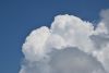 DSC_8300.thumb.JPG.4ed843ff923e8f9b8843331555235472.JPG