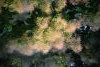 DSC_8311.thumb.JPG.658cdeb11bcf9aeb6e24604b85ebd098.JPG?1655305752946