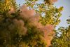 DSC_8313.thumb.JPG.e86b5d98472bbc279d67530f6651e4c2.JPG
