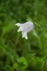 DSC_8314.thumb.JPG.86ed15ff5ecf85d36494f9c8837b390c.JPG