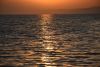 DSC_8322.thumb.JPG.e978af6ac0f68cef7fb52ba3922e33e8.JPG