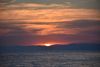 DSC_8337.thumb.JPG.01a78033982ebd30a88b1e2803eeb1f4.JPG