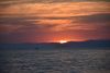 DSC_8338.thumb.JPG.863368b321848e429e1409f05c878f12.JPG