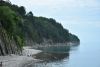 DSC_8363.thumb.JPG.20c7d90e8402e7d8c231605d42a3b65c.JPG