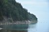 DSC_8365.thumb.JPG.fba6d23a21560f863c518e61d67b0a97.JPG