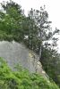 DSC_8374.thumb.JPG.db0748e3c9f047f2b0c38021ab917f8d.JPG