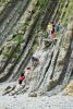 DSC_8378.thumb.JPG.0246ff828cb4da13b15700032d3943aa.JPG