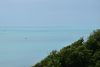 DSC_8380.thumb.JPG.2d45fe63c05c0090ea392c1c2eaf1408.JPG
