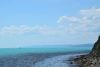 DSC_8406.thumb.JPG.c63d43e44603773248d9a31227b5d57a.JPG