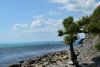 DSC_8414.thumb.JPG.9fb2a111c6c659d3a177e9c402a57788.JPG