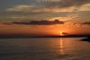 DSC_8446.thumb.JPG.89e44f2fd49a0a9c57c38f0a1953c11b.JPG